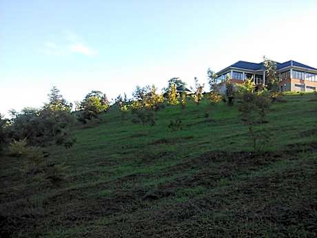 The Crested Crane Bwindi Hotel