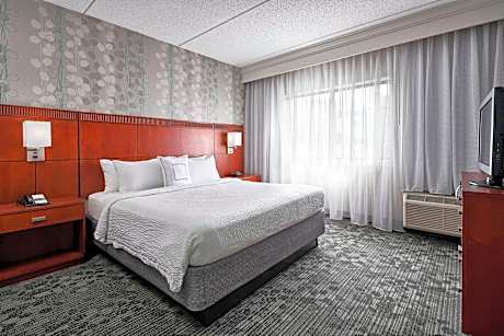 Conference Suite, 1 King Or Queen