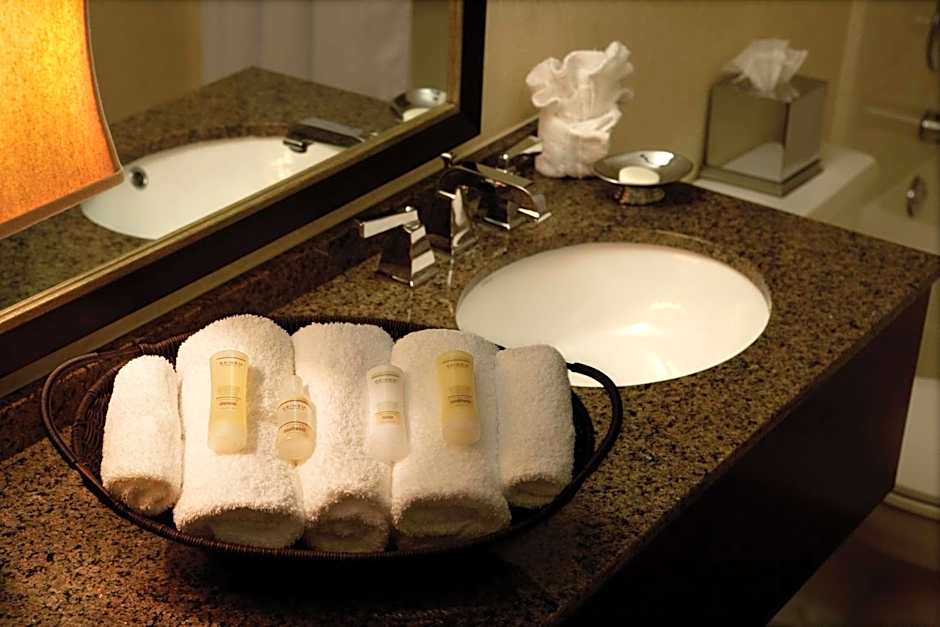 Sonesta Atlanta Airport North