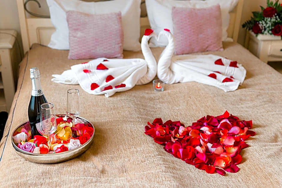 Hotel Carol - Vatra Dornei