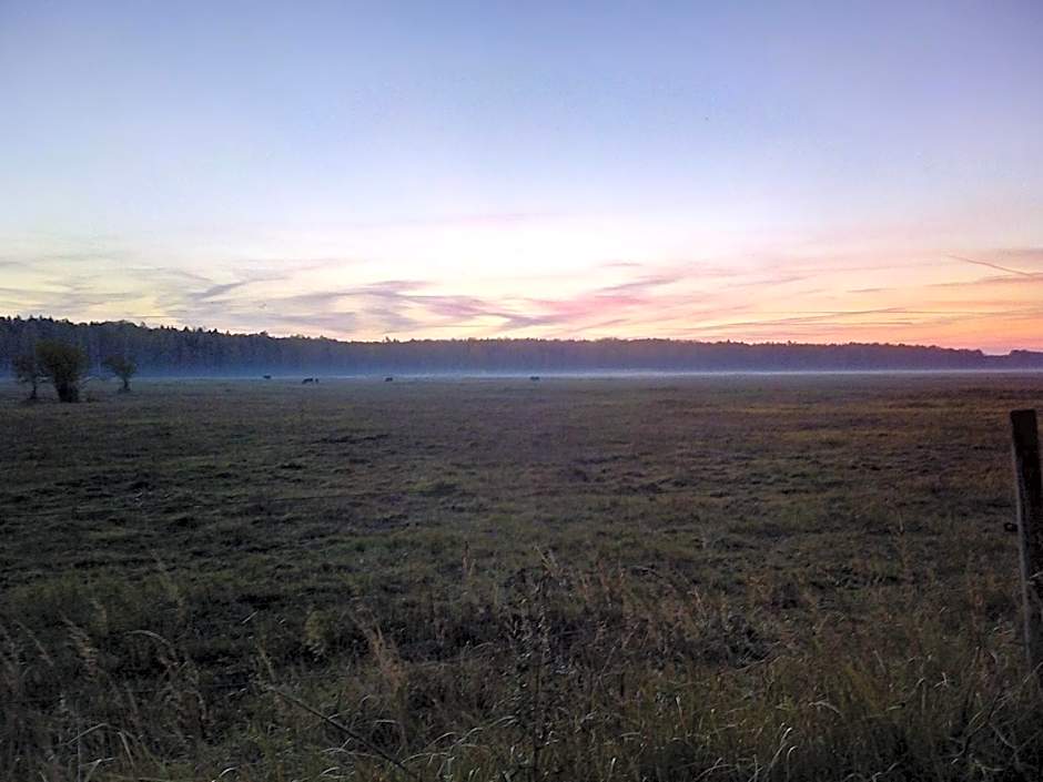 KEMERI Hotel in National Park - FREE PARKING