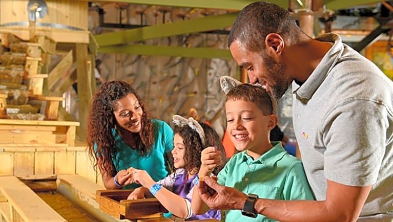 Great Wolf Lodge Arizona