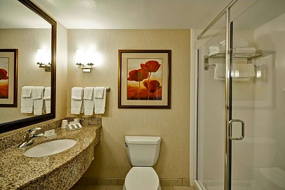 Hilton Garden Inn Tampa Riverview Brandon
