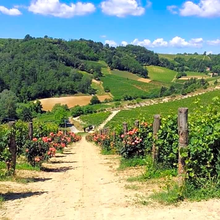 Cascina Valtignosa Camere Con Vigna