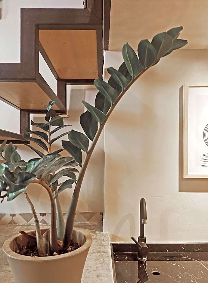 Pyrgi Cretan Living & Spa