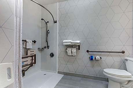 King Suite with Roll-In Shower - Accessible/Non-Smoking