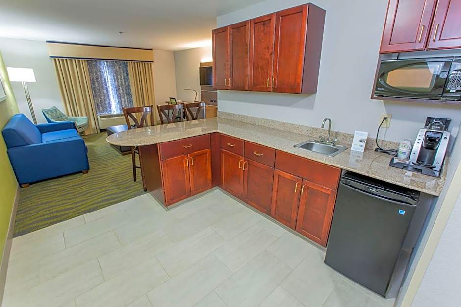 Holiday Inn Express Hotel & Suites McDonough By IHG