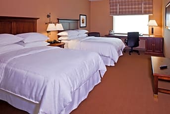 Courtyard by Marriott Dulles Airport Herndon