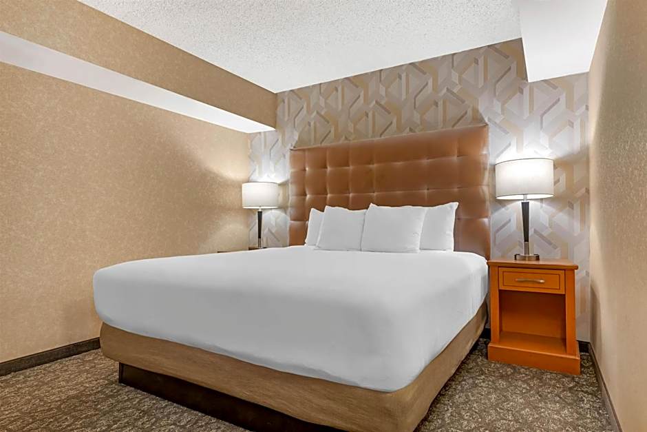Drury Plaza Hotel St. Louis Union Station