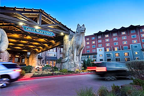 Great Wolf Lodge Grapevine