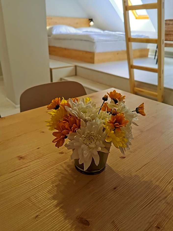 Apartmány Slunce