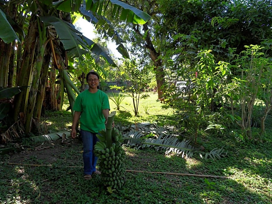 TEGAL SARI, Pemuteran- North Bali