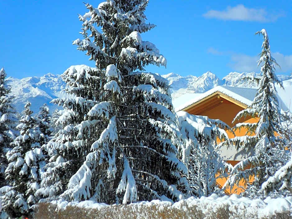 Hotel & Appartamenti Al Larice