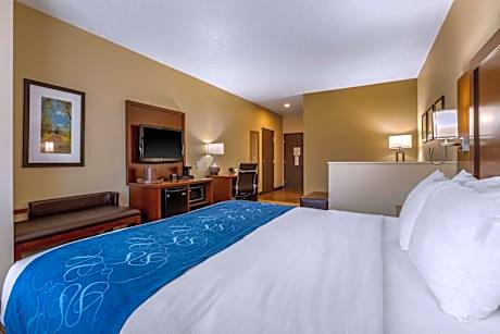 1 King Bed Suite Nonsmoking Accessible