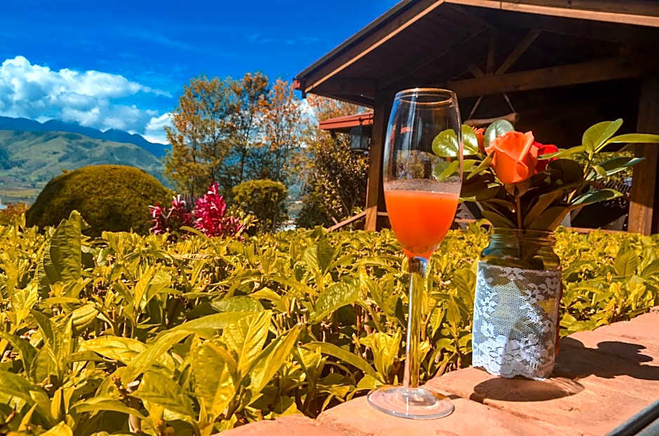 Hotel Rancho Constanza