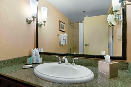 2 Double Accessible with Bathtub
