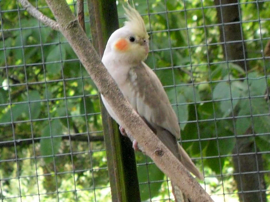 Chambres d'Hôtes La Turone
