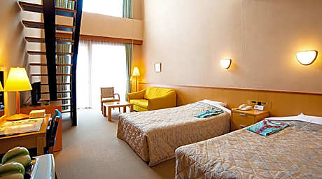 Standard Loft Room