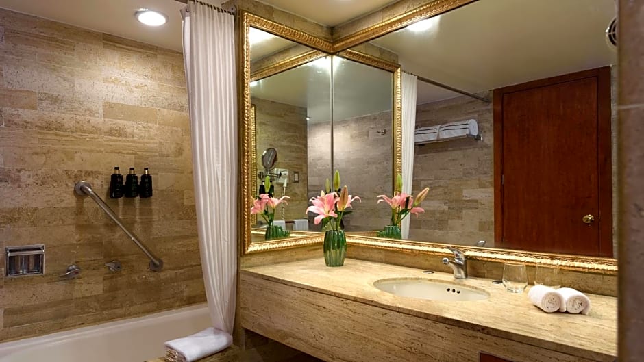 Meliá Puerto Vallarta - All Inclusive