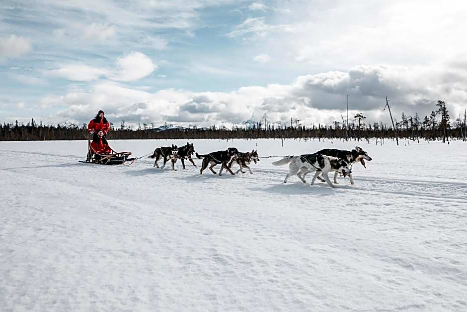 Lapland Hotels Riekonlinna