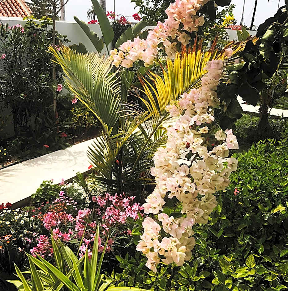 Villa Adler Men Only