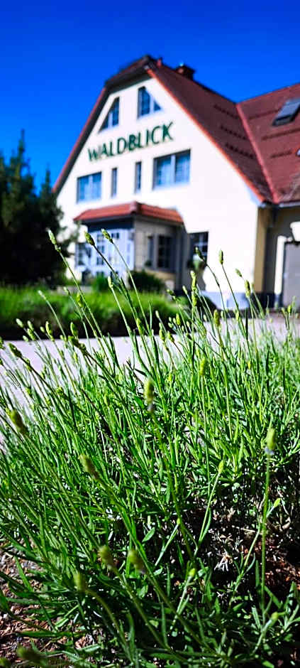 Hotel & Restaurant Waldblick