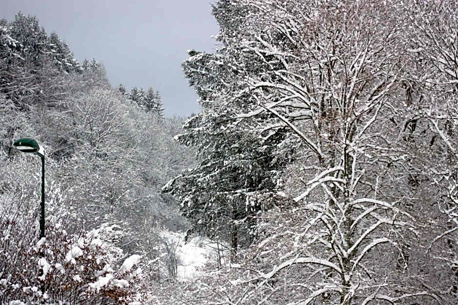 Logis Hôtel Restaurant de la Dore