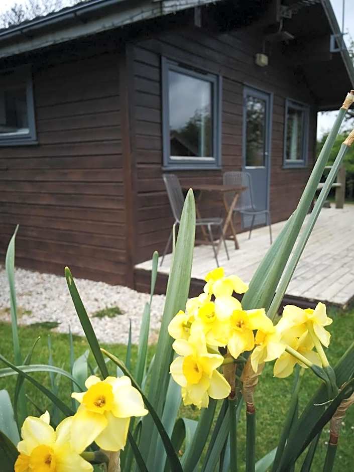 Avallon Lodges