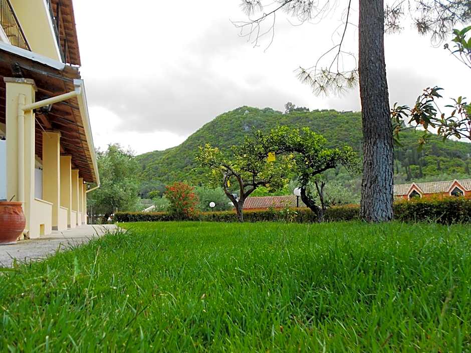Anemona Studios
