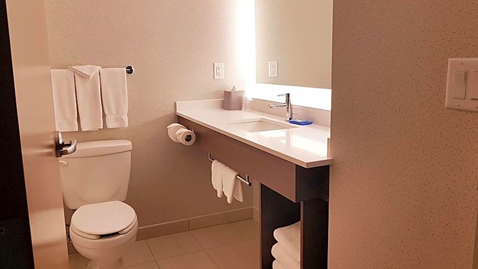 Holiday Inn Express and Suites Surrey By IHG