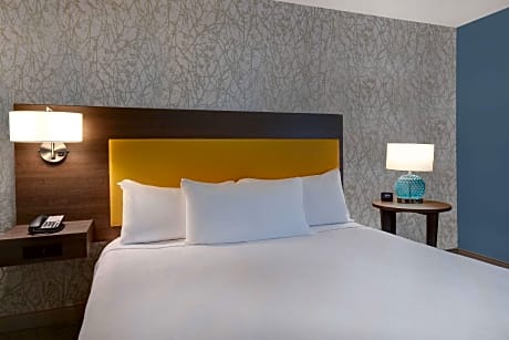 1 King Bed Studio Suite Nonsmoking