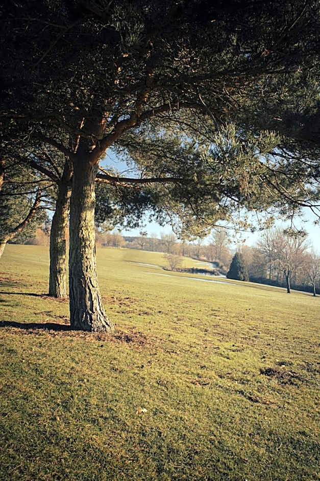 Draycote Hotel & Whitefields Golf Course and Club