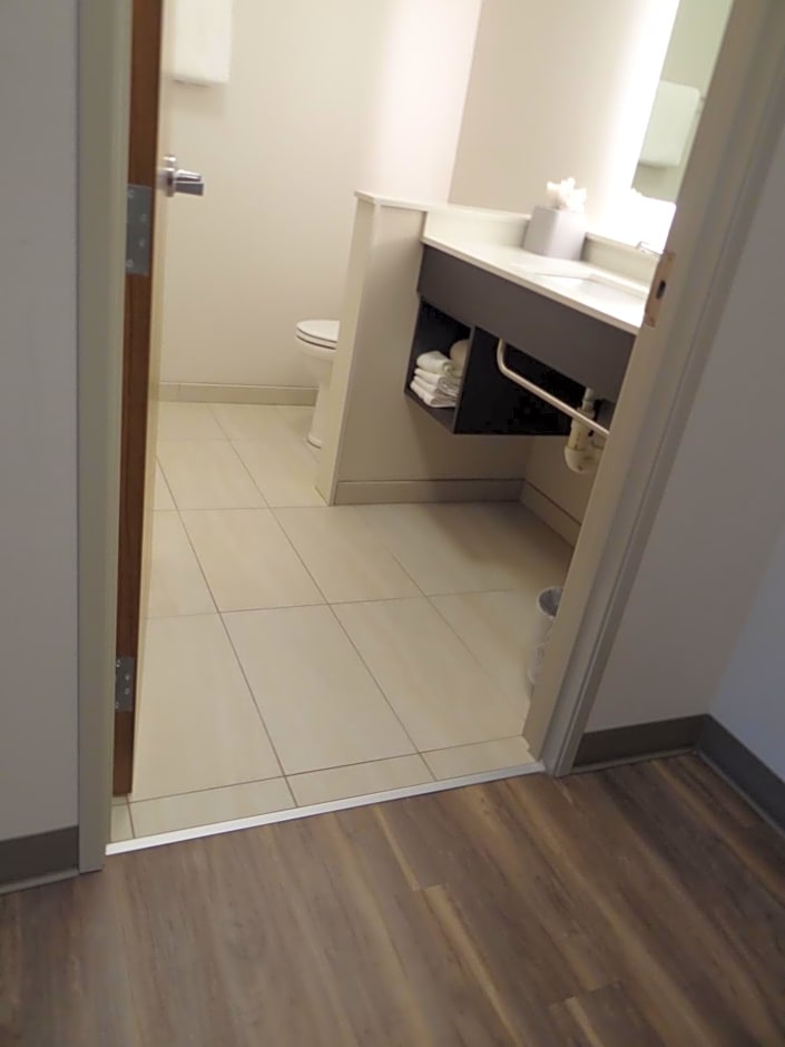 Holiday Inn Express And Suites Auburn Downtown By IHG