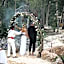 Pepem Eco Hotel Tulum at the Jungle
