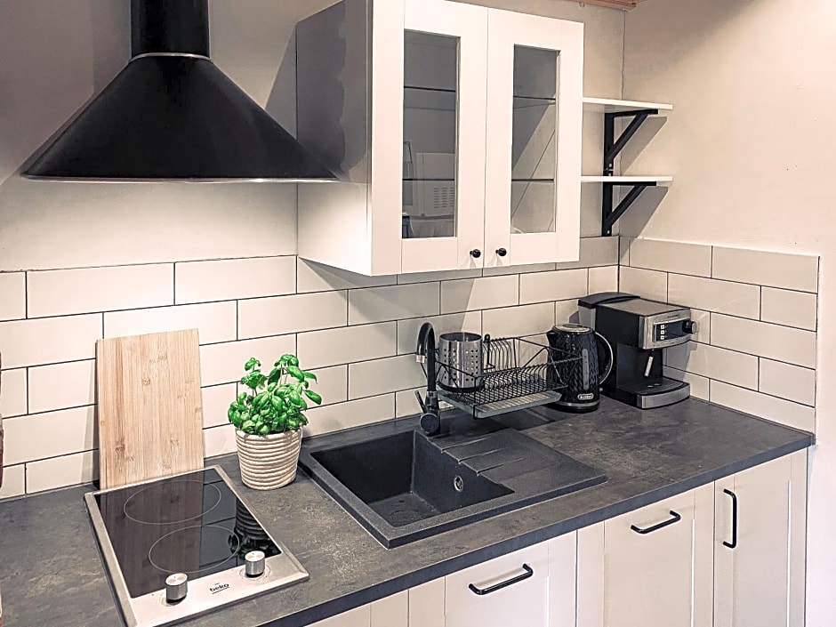 Bieszczadzkie Chatki - Willa Stasia