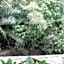 Sun Sang Eco Retreats