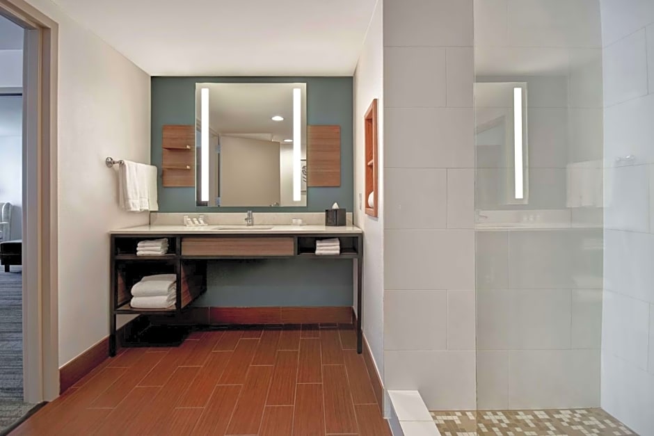 Hilton Garden Inn Houston/Galleria Area
