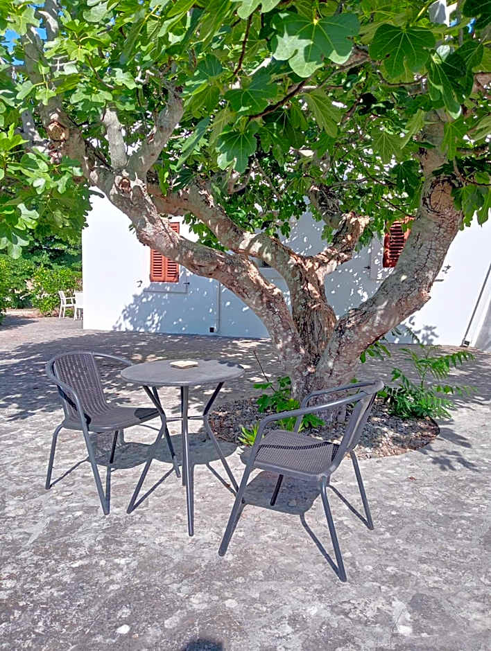 Bed & Breakfast Villa Rosanna – Fasano, AR