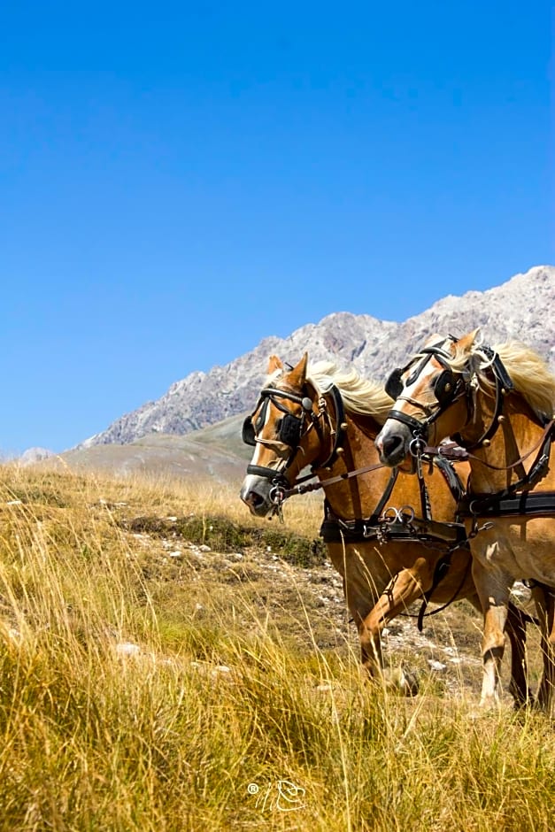 Alloggio del Fiume - Le Vecchie Vasche