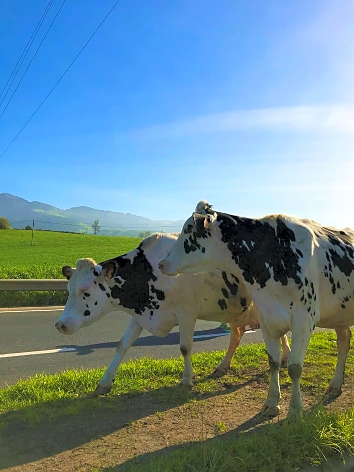 CASA INTI / INTI HOUSE FURNAS