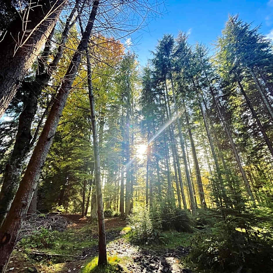 Fairburn Activity Centre