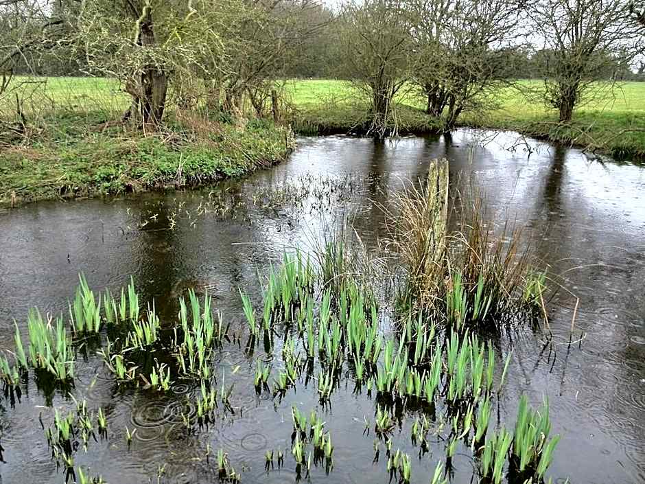 Brampton Dales Farm Bed and Breakfast