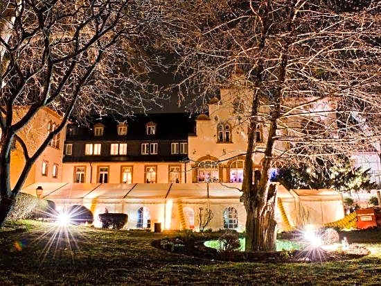 Hotel Kronenschlosschen