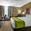 Comfort Inn Edison