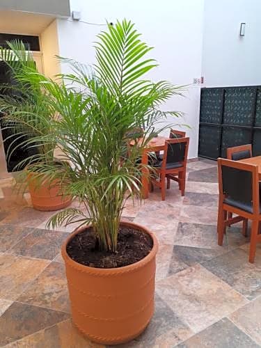 La Cultura Suites - Avenida Quinta