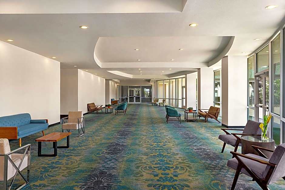 Hilton Garden Inn South Padre Island Beachfront