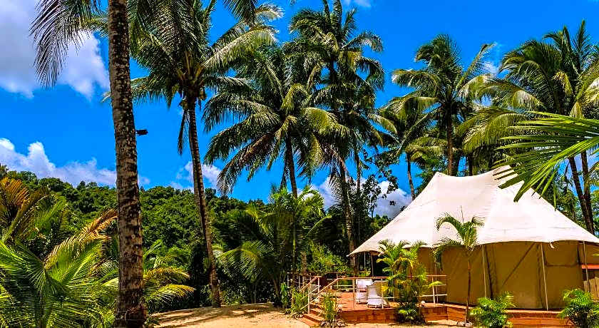 Canvas & Orchids Retreat