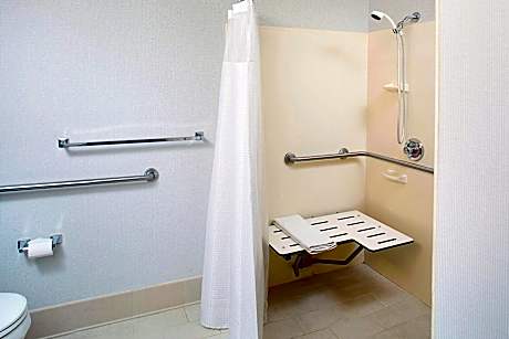 Room, 1 King Bed with Sofa bed (Mobility/Hearing Access, Roll-In Shwr)