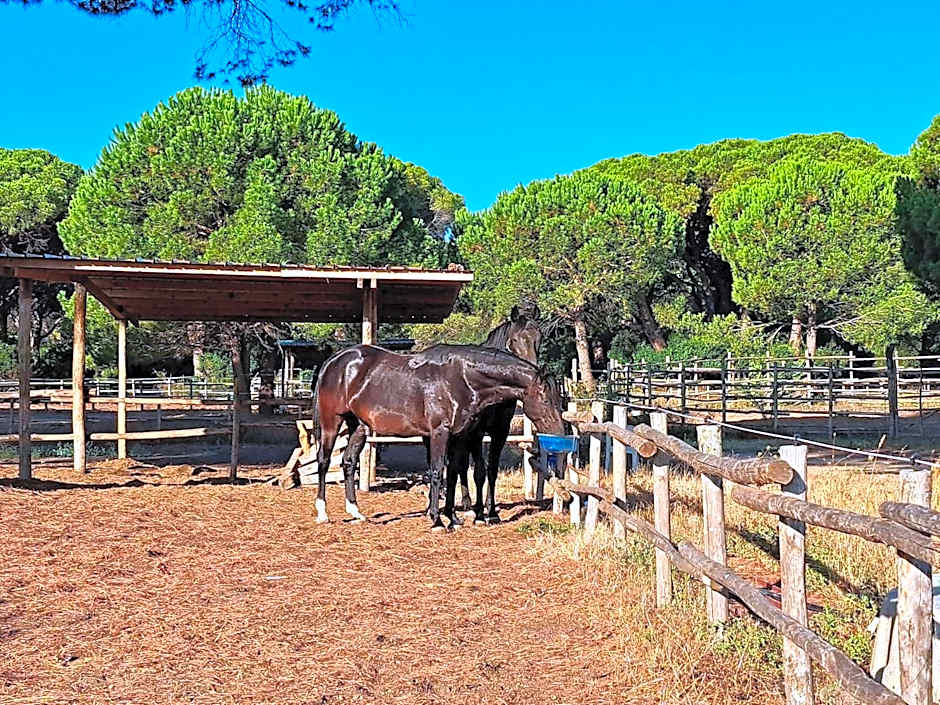 Mareblù - Tuscany Green Aparthotel