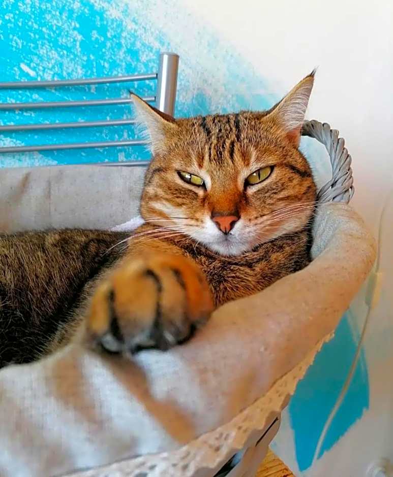 Perla del Levante Hostel